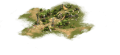 Miniature af versionen fra 27. sep. 2023, 15:30
